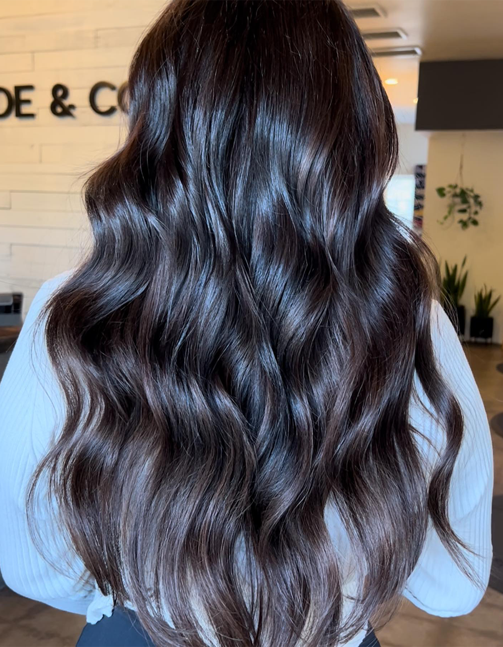 Claudia Janel's work using new color line products
