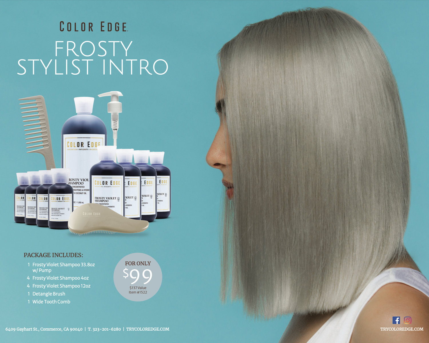 Frosty Salon Intro Deal flyer